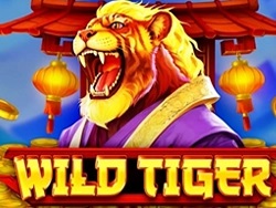 slot wild tiger